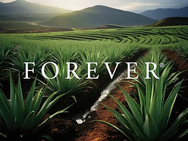 بنر محصولات شگفت‌انگیز ۲